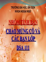 Slide thuyết trình quy luật của cảm giác (Nhóm SAA1 Khoa Ngoại Ngữ  ĐH Sài gòn)