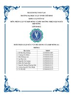 BUỔI THẢO LUẬN số 3 vấn đề CHUNG của hợp ĐỒNG (tt) hợp ĐỒNG VI PHẠM về HÌNH THỨC 