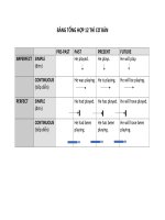 BẢNG TỔNG hợp 12 THÌ 