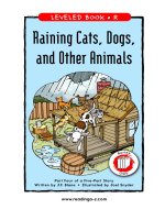 raz ch04 rainingcatsdogs 