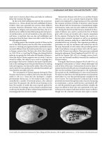 Encyclopedia of society and culture in the ancient world ( PDFDrive ) 480 