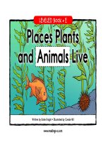 raz le21 placesplantsani 