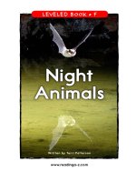 raz lf38 nightanimals 