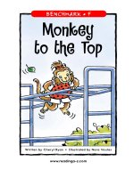 raz lf30 monkeytotop 