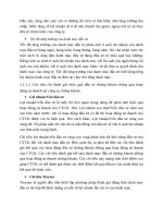 CƠ sở lý LUẬN đầu tư CHỨNG KHOÁN 0021