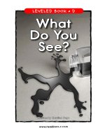 raz ld22 whatdoyousee 