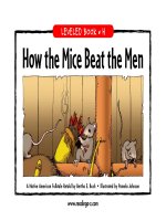 raz lh09 micebeatmen 