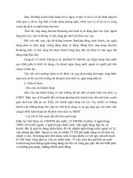 Trong bối cảnh nền kinh tế số và hội nhập kinh tế 0047