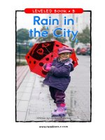 raz lb47 rainincity 