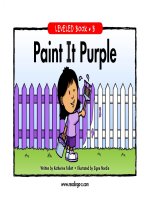 raz lb40 paintitpurple 