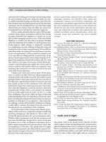 Encyclopedia of society and culture in the ancient world ( PDFDrive ) 955 