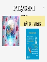 Bài giảng môn Khoa học tự nhiên lớp 6 bài 29: Virus