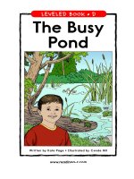 raz ld21 thebusypond 