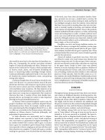 Encyclopedia of society and culture in the ancient world ( PDFDrive ) 432 