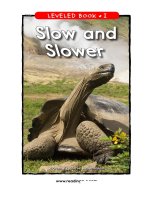 raz li34 slowandslower 