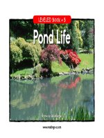 raz lb15 pondlife 