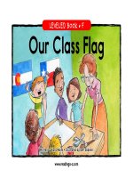 raz lf40 ourclassflag 