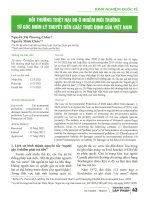 Bồi thường thiệt hại do ô nhiễm môi trường từ góc nhìn lý thuyết đến luật thực định của việt nam 