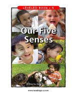 raz lh21 ourfivesenses 