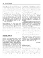 Encyclopedia of world history (facts on file library of world history) 7 volume set ( PDFDrive ) 1596 