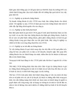 CƠ sở lý LUẬN đầu tư CHỨNG KHOÁN 0005