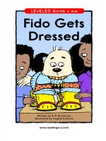 raz laa15 fidogetdress 