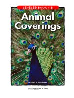 raz lb25 animalcoverings 