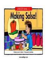 raz lc43 makingsalsa 