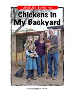 raz lk29 chickensinmybackyard 