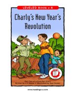 raz ch02 charlynewyear 