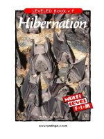 raz lf25 hibernation 