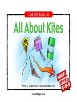 raz ln23 allaboutkites 