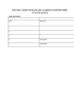 PHÂN TÍCH tài sản và ĐỊNH vị THƯƠNG HIỆU của COCACOLA 