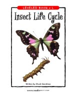 raz ll26 insectlifecycle 