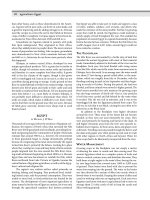 Encyclopedia of society and culture in the ancient world ( PDFDrive ) 49 