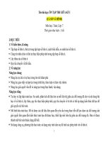 Giáo án ôn tập và kiểm tra giữa kì 1 môn toán 7 sách kết nối tri thức với cuộc sống 