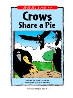 raz ln13 crowssharepie 