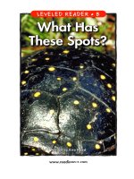 raz lb30 whathasspots 