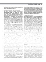 Encyclopedia of society and culture in the medieval world (4 volume set) ( facts on file library of world history ) ( PDFDrive ) 106 