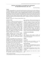 Testing adaptability of introduced asparagus in the Red River Delta, 2016-2017