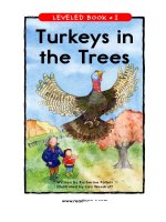 raz li32 turkeysintrees 