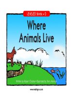 raz ld05 whereanilive 