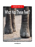 raz lb16 whathasfeet 