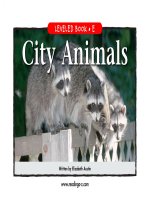 raz le11 cityanimals 