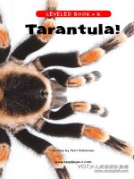 raz lk30 tarantula 