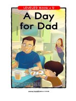 raz ld48 daydad 