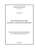 Quản trị rủi ro tài chính tại Công ty Cổ phần May Sông Hồng