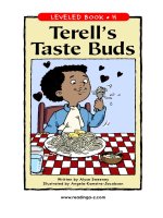 raz lh17 terellstastebuds 