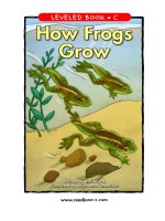 raz lc40 howfrogsgrow 