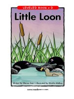 raz ld32 littleloon 